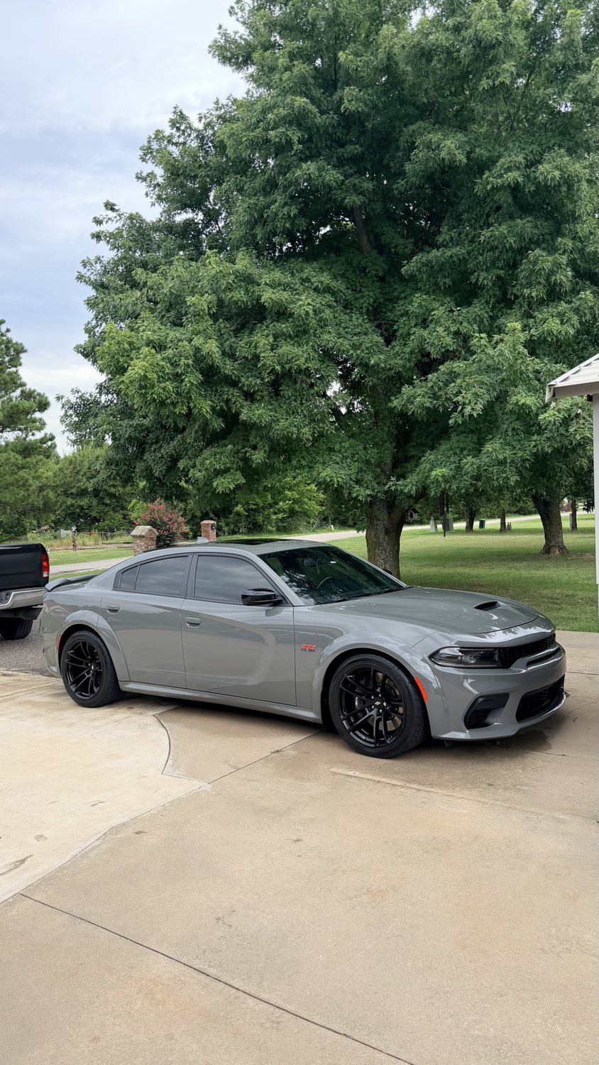Ceramic Coatings