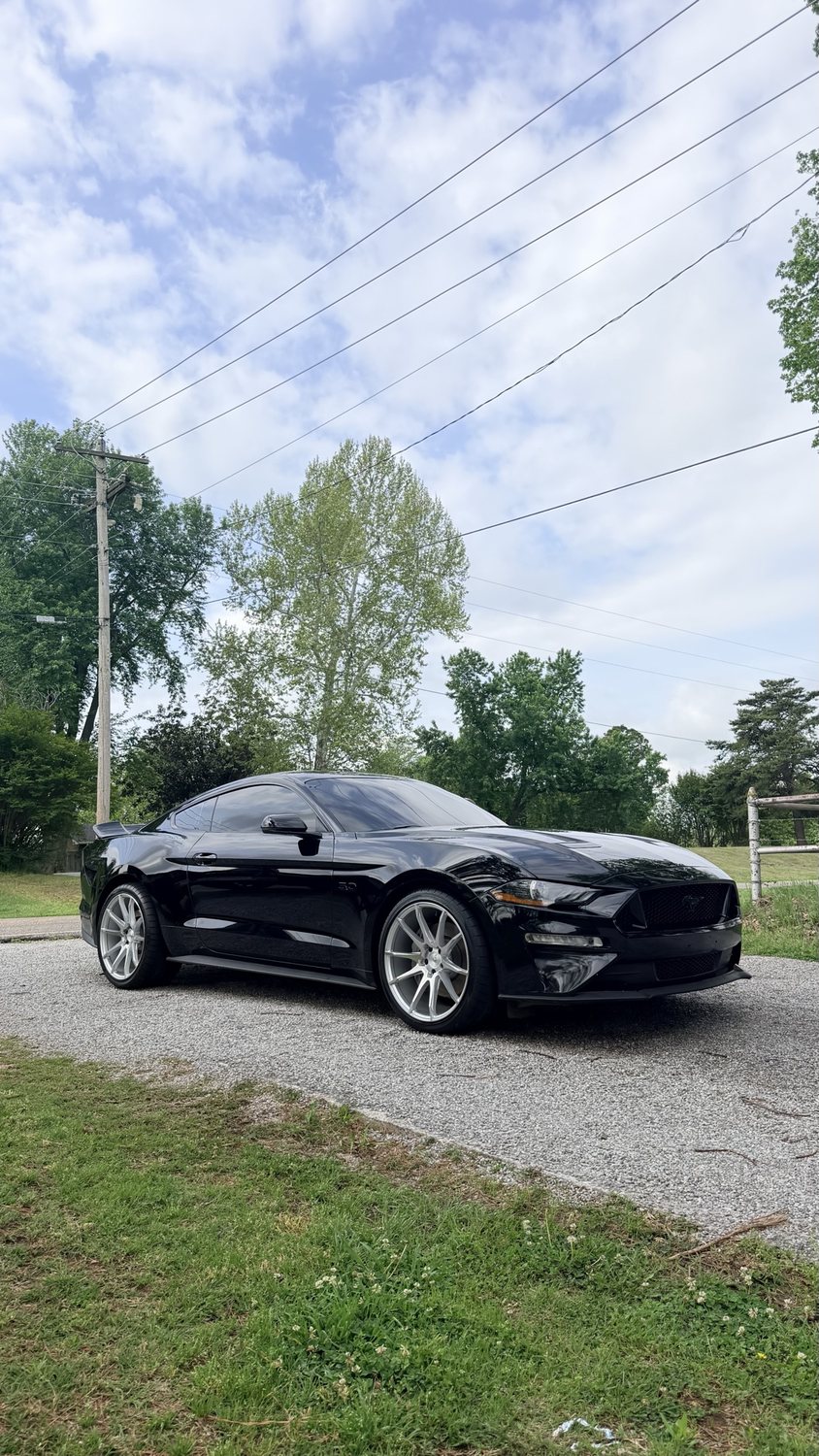 Mustang, corrected paint in the sun
