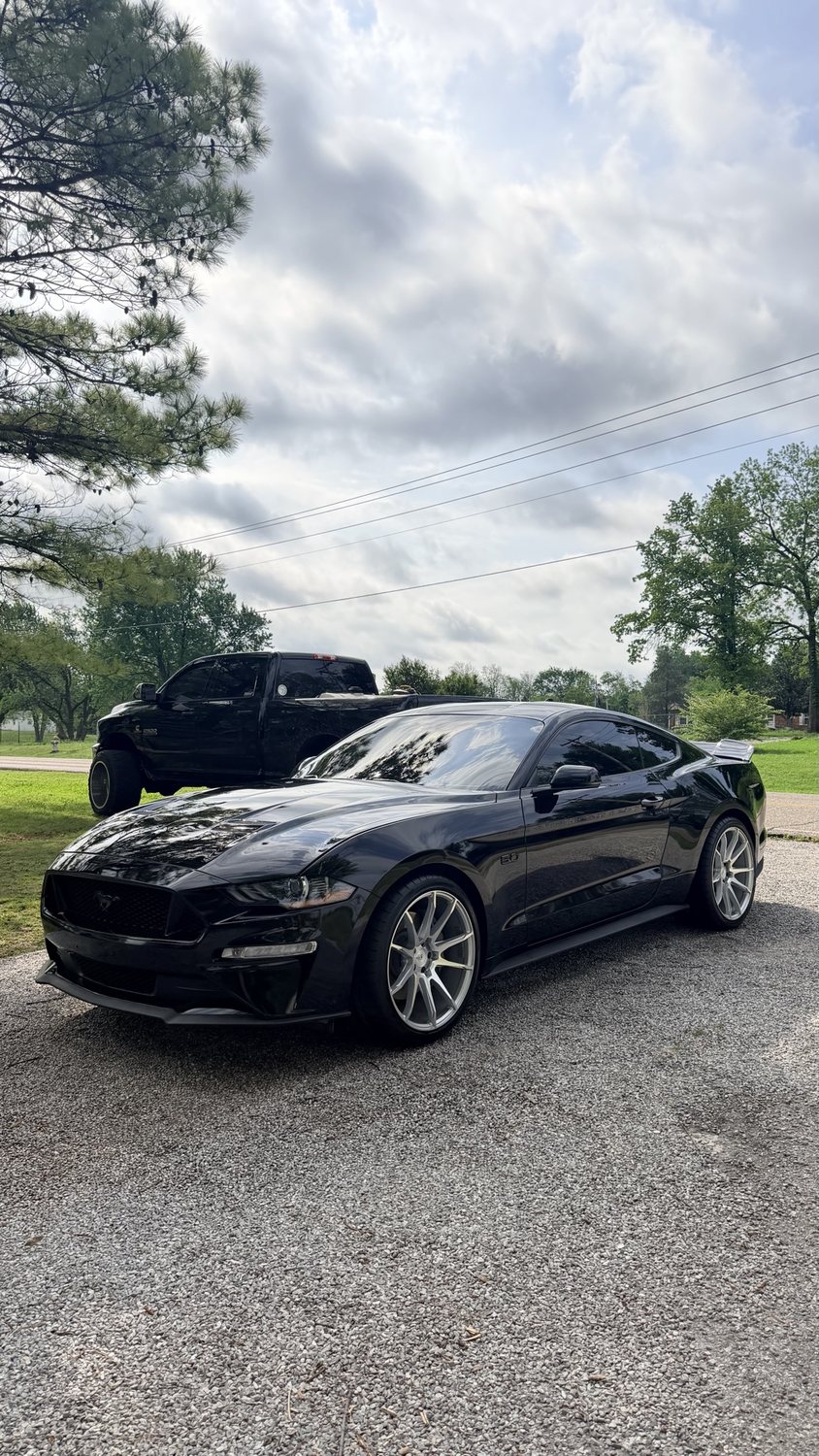 Mustang, corrected and coated